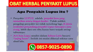 Orang sering mengira itu gejala masuk angin, flu, atau typhus, sehingga pengobatannya pun tradisional, biasa, seperti dikerok. Solusi Tepat No Wa 62 857 9025 0890 Pengobatan Lupus Sle