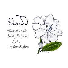Sketch Of The Day No 796 In My Brand New Moleskine Art Journal Jasmine Flower Elegance Is The Beauty That Never Fades Audrey Hepburn Jasmine Flower Tattoos Jasmine Flower Jasmine Tattoo