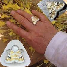 This Is Schinia Nundina Or The Goldenrod Flower Moth It Is Found Primarily In The Eastern Us And Canada The Pho Goldenrod Flower Gold Color Scheme Goldenrod