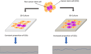 Maybe you would like to learn more about one of these? Organ On Chip Models Implications In Drug Discovery And Clinical Applications Mittal 2019 Journal Of Cellular Physiology Wiley Online Library