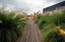 Whether you are looking to plant a container garden or transform a hillside, ornamental grasses make a great addition to any garden design. Hardy Plants In The Garden Design Ideas With Pampas Grass Interior Design Ideas Ofdesign