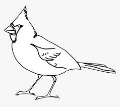 Download Cardinal Bird Svg Black And White Hd Png Download Kindpng
