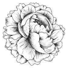 Old School Flash Tattoo Rose Outline Vintage Psd Icon Free Image By Rawpixel Com Techi Rose Png Vintage Tattoo Old School Tattoo