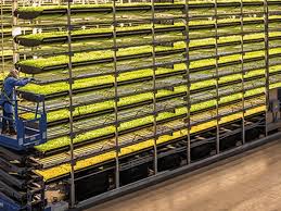 Agriculture remains an important sector of malaysia's economy, contributing 12 percent to the national gdp and providing employment for 16 percent of the population. Agriculture 4 0 The Future Of Farming Technology