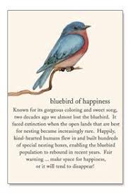 Residents who are over 18 years old only (or 19 in certain states) and for use virtually anywhere american express cards are accepted worldwide, subject to verification. 99 Bluebird Of Happiness Ideas In 2021 Blue Bird Vintage Cards Vintage Greeting Cards