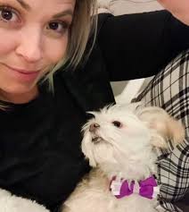 My friends I have a dilemma, I cannot decide which dog breed is best for  me. I love chihuahua but I also love maltese dogs. I need a dog that loves  cuddles