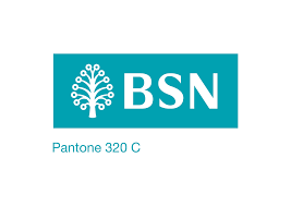 Find out here on how to register for mybsn. Our Presence Bsn Malaysia