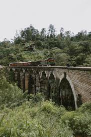 Un tren que viaja por un puente en medio de un bosque foto