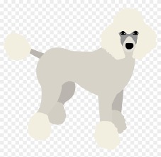 We did not find results for: Poodle Standard Poodle Hd Png Download 3000x2400 2176567 Pngfind