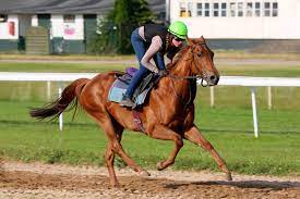 Jockey refers to a naturally spawned mob riding another mob. Traumberuf Jockey Ausbildung Zum Rennreiter Deutscher Galopp