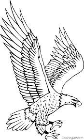Push pack to pdf button and download pdf coloring book for free. Realistic Hawk Coloring Page Coloringall