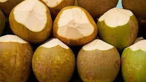 3 Cara Membuat Minyak Lintah Sendiri Di Rumah Dan Manfaatnya Menurut Ahli Hot Liputan6 Com