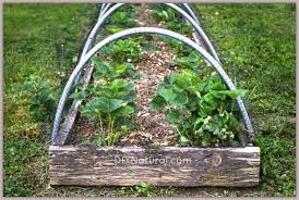 Why are birds beneficial to your garden? How To Keep Birds Out Of Your Garden