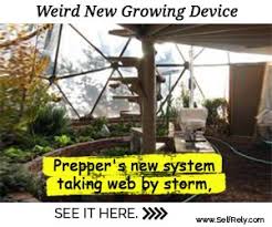 Build your own greenhouse nz. Build Your Own Greenhouse Chinese Herbs Healing