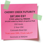 Chery Creek Futurity Trials