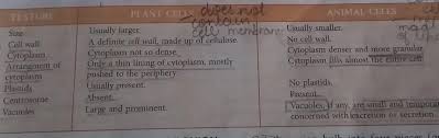 Check spelling or type a new query. Which Of The Following Statement Marks As A Difference Between Plant Cell And Animal Cell Brainly In