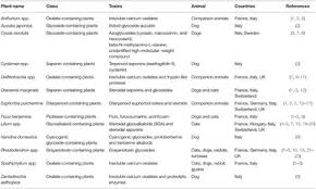 The first steps in treating dermatitis is to identify the type of dermatitis you have and eliminate the cause, if possible. Frontiers Indoor Companion Animal Poisoning By Plants In Europe Veterinary Science