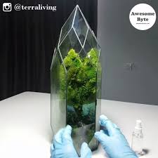Check spelling or type a new query. These Miniature Gardens By Terra Living Are Must Have For All The Nature Lovers Terraliving Brings N Miniature Garden Beautiful Terrariums Tiny Garden Ideas