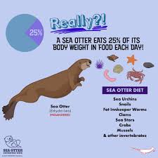 Image result for Enydra