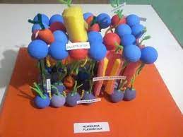 resultado de imagen para maquete de membrana plasmatica maquetas de celulas membrana plasmatica maquetas escolares
