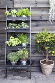 pin on vertical gardening