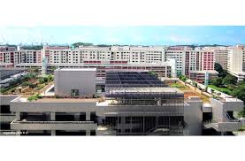 Try the 10 tonic herbal chicken soup at soup master chinatown as it tasted good and plus it has the wonderful. Khoo Teck Puat Hospital Ktph Greenroofs Com