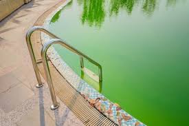 Poolbesitzer haben bei der verwendung von brunnenwasser häufig das. Poolwasser Grun Was Tun Anleitung Und Sofortmassnahmen
