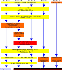 Flow Chart Comparing Different Egg Purification Protocols