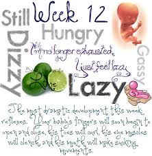 Pin On Pages To Create Ur Own Pregnancy Journal