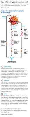 The trials need to first. Johnson Johnson S One Shot Covid 19 Vaccine Effective And Safe Says Fda United States News Top Stories The Straits Times