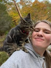 LOST CAT 🐈 💰REWARD💰 He went missing in the area of Friant and Del Mar.  He's a big boy a light orange color mixed with a little white. He is so very