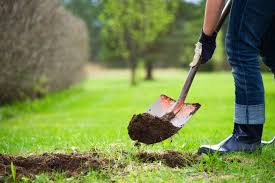 The dig.720p.x264.yify.mp4, the dig full movie online, download 2021 online movies free on yify tv. Watch Dr Pimple Popper Dig For Blackheads On A Patient S Back