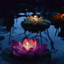 Tropical gardens including bright hibiscus flowers, koi pond with floating lotus blossoms, acres of greenery walking paths, cultural preserves, sandy beach, and the pacific ocean. Floating Lotus Flower Candle Floating Flower Lanternshop Com Au