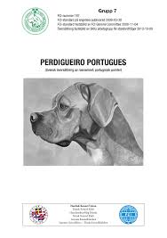 Välkommen till svenska kennelklubbens frågeforum! Rasstandard Svenska Kennelklubben