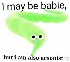 I May Be Babie But I Am Also Arsonist Stupid Memes Haha Funny Reaction Pictures