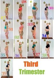 unique baby trimesters chart baby bump chart week by week