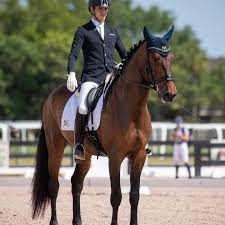 80,800% for Baltasar de Ymas (CDE) and Pau Gómez Molina in the FEI YH  Finals for 6 year olds! Thank you Scott Hessler! Awesome ride Pau!!! 📸Lily  Forado @paugo21 @scott_hasslerofficial @lilyforado #younghorses #