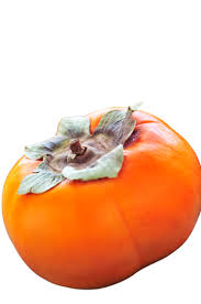 Image result for Diospyros crassiflora