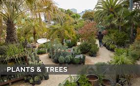 Search from our range of quality plants as well as potting mix, fertilisers and pots. Flora Grubb Gardens