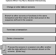 Maybe you would like to learn more about one of these? Correcting A Session Sap Library Managing Batch Input Sessions