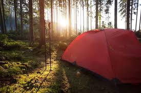 Choose from a wide range of properties which booking.com offers. Oregon Camping Is Even Better At These Free Campgrounds 7x7 Bay Area