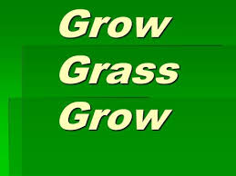 To promote the examples of grow in a sentence. Testing To See How Mung Beans Will Grow Upside Down And Sideways Ppt Download