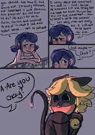 Ladies Chats A Marichat Comic That S Probably Been Done Before Miraculous Ladybug Fanfiction Miraculous Ladybug Funny Miraculous Ladybug Comic