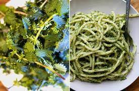 Stinging Nettles 8 Recipes For Spring Cooking Nettle Recipes Stinging Nettle Wild Food