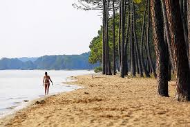 Bienvenue en camping dans les landes, un des départements qui constituent le territoire de la région nouvelle aquitaine. Biscarrosse Et Mimizan Les Landes Balneaires Idees Week End Aquitaine Bordelais Landes Routard Com