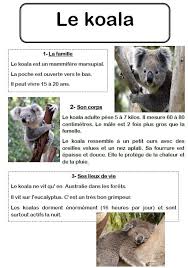 Un Texte Documentaire Sur Le Koala Ecole Anne Sylvestre Pouille Les Coteaux Koala Geographie Ce2 Vie Animale