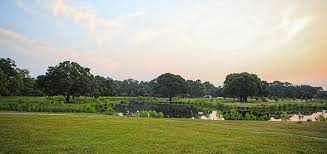 Mandeville, louisiana architects directory, showing architect website links, locations, telephone numbers, and category tags. Landscape Architecture Archives Duplantis Design Group
