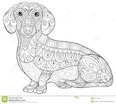Pin On Adult Color Images Dog Cat