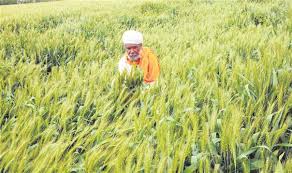 An ideal cropping system should use natural resources efficiently. Long Road Ahead On The Farm Front