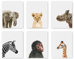Pin By Bronwyn Impson On Amy S Board Baby Animal Nursery Art Baby Animal Art Zoo Animals Nursery